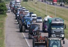 Aguiar: “El lockout patronal busca desestabilizar y generar desabastecimiento”