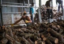 Plan Calor: 750 millones para asistir a 12 mil familias