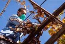 COVID-19: Río Negro adherirá a las medidas de apertura sanitarias dispuestas por Nación