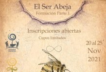 Curso de apicultura en Viedma