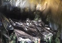 Un incendio descubrió una plantacion de marihuana en El Bolsón