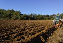 Más de 45 millones para 14 trabajadores de la fruta estafados