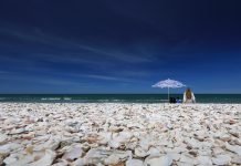 Verano en Río Negro: extensas playas y majestuosos paisajes invitan a vivir una experiencia única a orillas del mar
