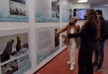 Punta Bermeja cuenta con una nueva muestra histórica