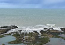 Playas inmensas y paradisíacas te esperan para vivir un verano inigualable en cercanías a Viedma