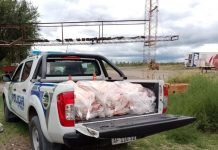 Decomiso en Río Colorado: 25 costillares hechos humo