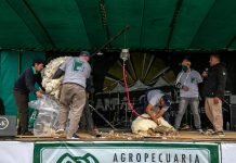 Banacloy: «El sector ganadero demuestra un crecimiento permanente”