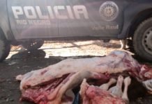 Valle Azul: Policía decomisó carne proveniente de faena clandestina