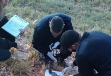 Atrapan en Regina a un hombre con droga y un arma en su vehículo