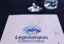Viedma participó del Segundo Encuentro de Legislaturas Conectadas