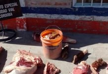 Paso Córdoba: decomisan 300 kilos de carne vacuna faenada
