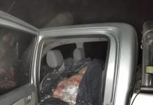 Decomisan 110 costillares en Choele