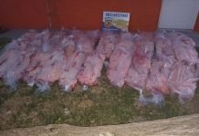 Secuestran casi dos mil kilos de carne en tres operativos