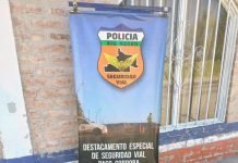 Decomisan carne de potro