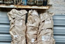 Desarticulan puntos de venta de drogas en Catriel