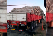 Chichinales: decomisaron 30 toneladas de madera transportada de manera irregular