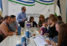 Avalan enseñar los derechos de los animales en las escuelas rionegrinas