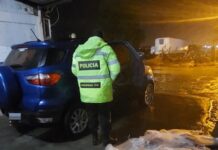 Decomisaron 200 kilos de carne en Chichinales