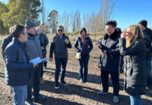 Avances para exportar frutos secos a China