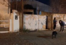 Roca: persiguen y atrapan a un ladrón