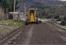 Delegaciones municipales barilochenses trabajan en el mantenimiento de calles y hacen poda preventiva