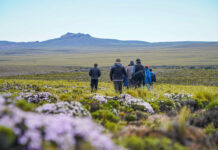 Ley de Turismo: una herramienta que fortalece a los nuevos destinos