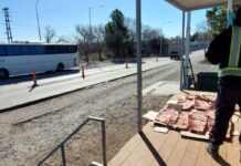 Decomisan costillares transportados en un colectivo