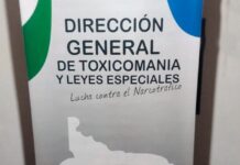 Otro golpe al narcomenudeo en Choele