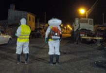 Inician en noviembre las campañas de fumigación