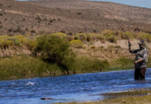 Ya se encuentran a la venta los permisos de pesca en la Patagonia 2023-2024