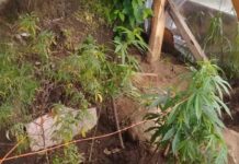 Bariloche: armas, marihuana y cosas robadas