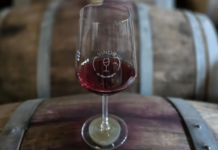 Pinot Noir, la nueva cepa estrella de los vinos rionegrinos