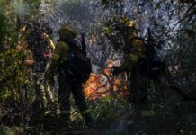 Foco de incendio en el cerro Otto contenido