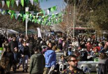 Feria Semilla en Cipo para el día del padre