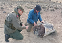 Se descubrieron tres bosques petrificados en Pilcaniyeu
