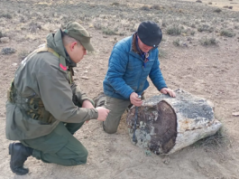 Se descubrieron tres bosques petrificados en Pilcaniyeu