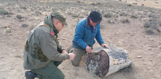 Se descubrieron tres bosques petrificados en Pilcaniyeu