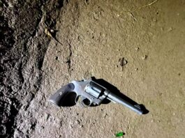 Cinco Saltos: recuperan revolver de un canal secundario