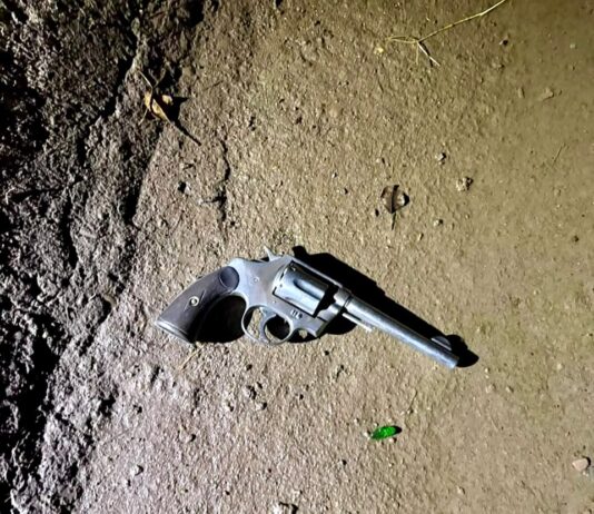 Cinco Saltos: recuperan revolver de un canal secundario