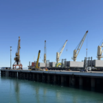 Río Negro se apoya en el puerto para diversificar su producción
