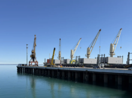 Río Negro se apoya en el puerto para diversificar su producción