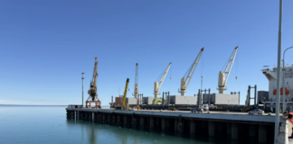 Río Negro se apoya en el puerto para diversificar su producción