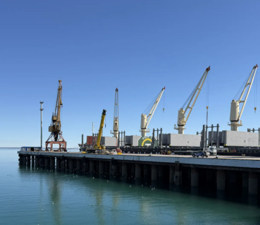 Río Negro se apoya en el puerto para diversificar su producción
