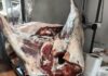 Decomisaron más de 600 kilos de carne en comercios de Viedma