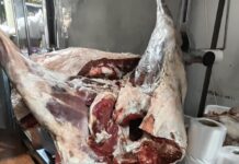 Decomisaron más de 600 kilos de carne en comercios de Viedma