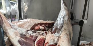 Decomisaron más de 600 kilos de carne en comercios de Viedma